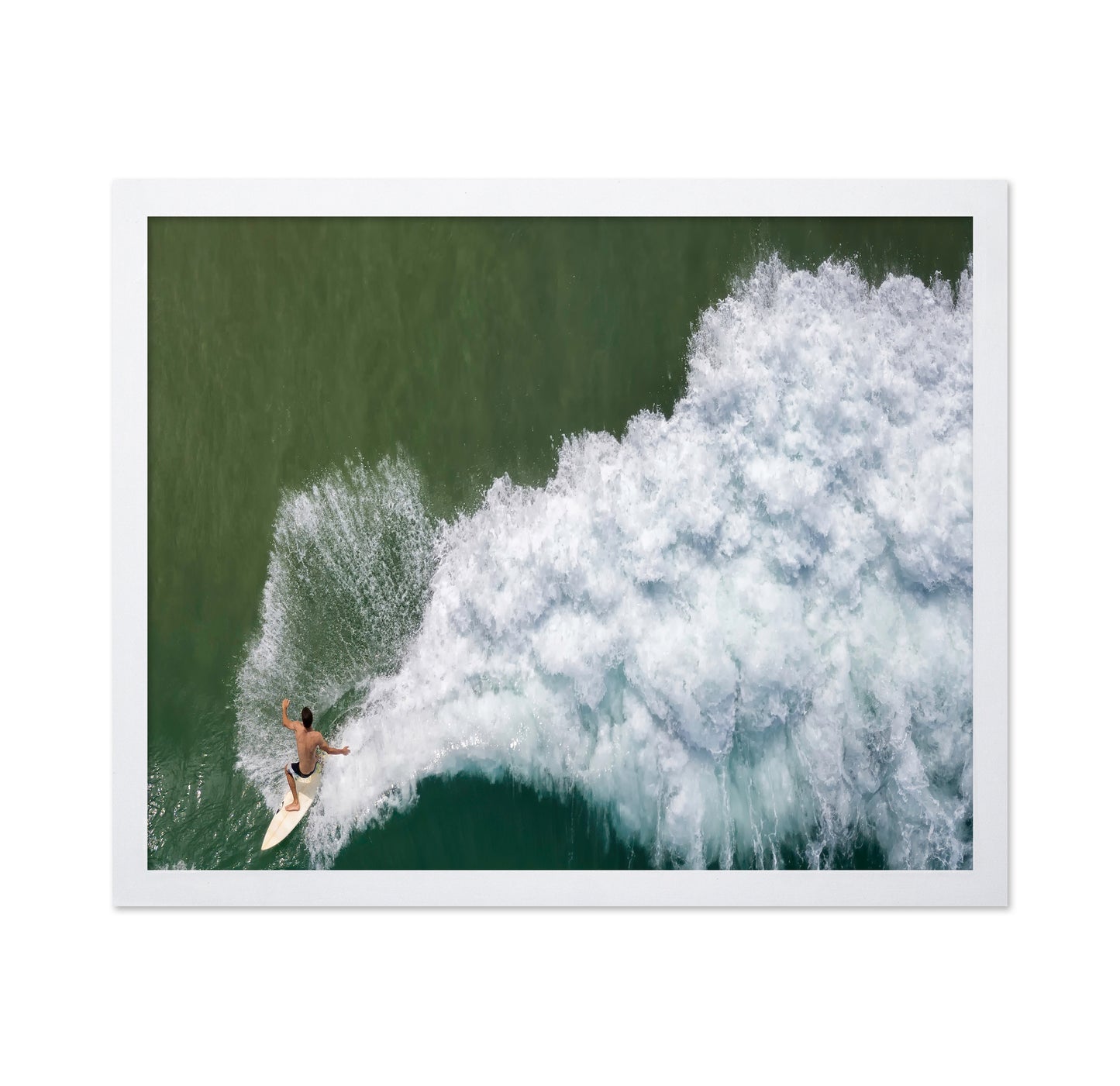 Surfing Rooster
