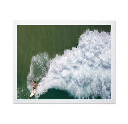 Surfing Rooster