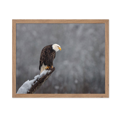 Snow On The Skagit