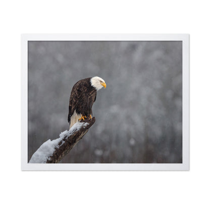 Snow On The Skagit