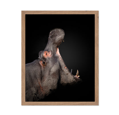 Eat The World