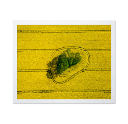 Island In The Field