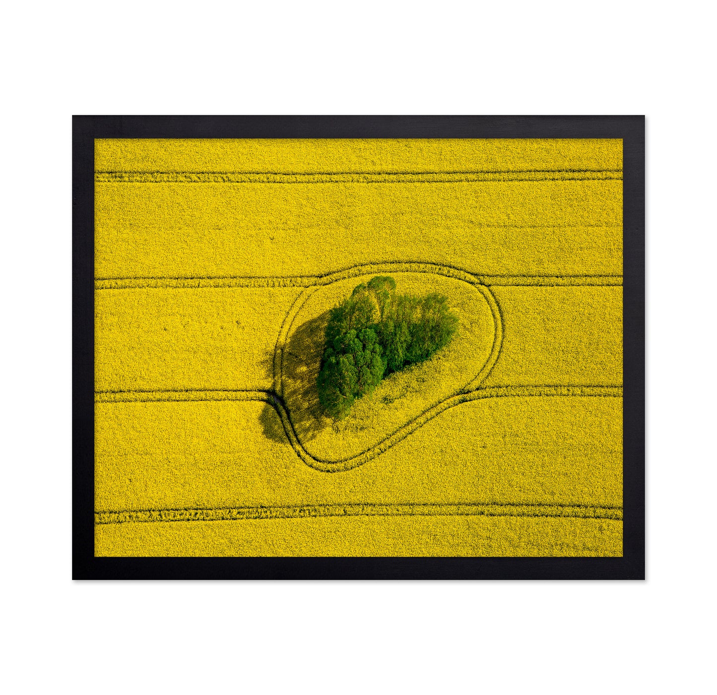 Island In The Field