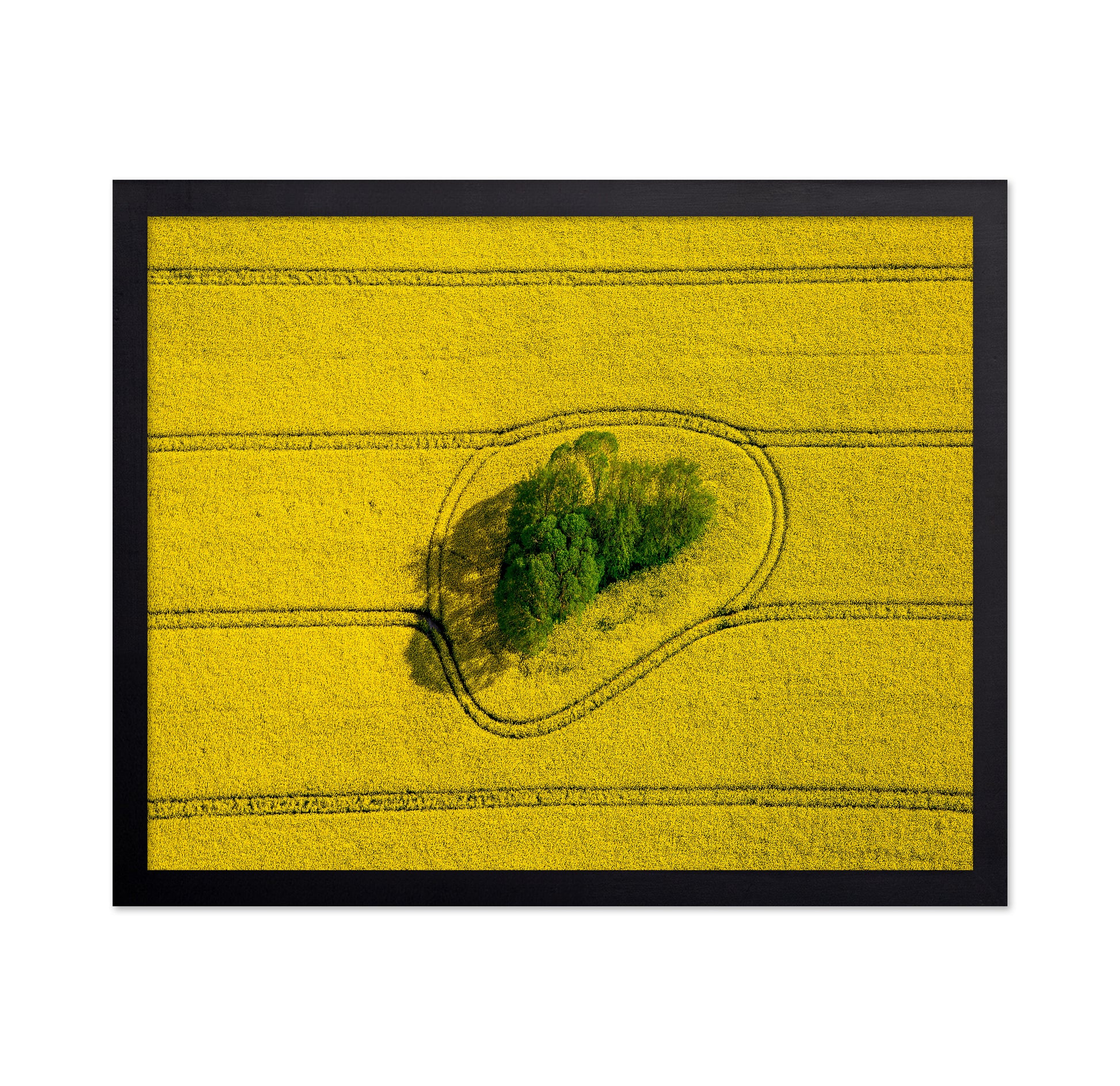 Island In The Field