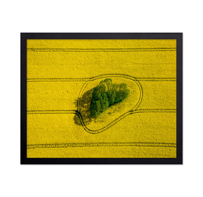 Island In The Field