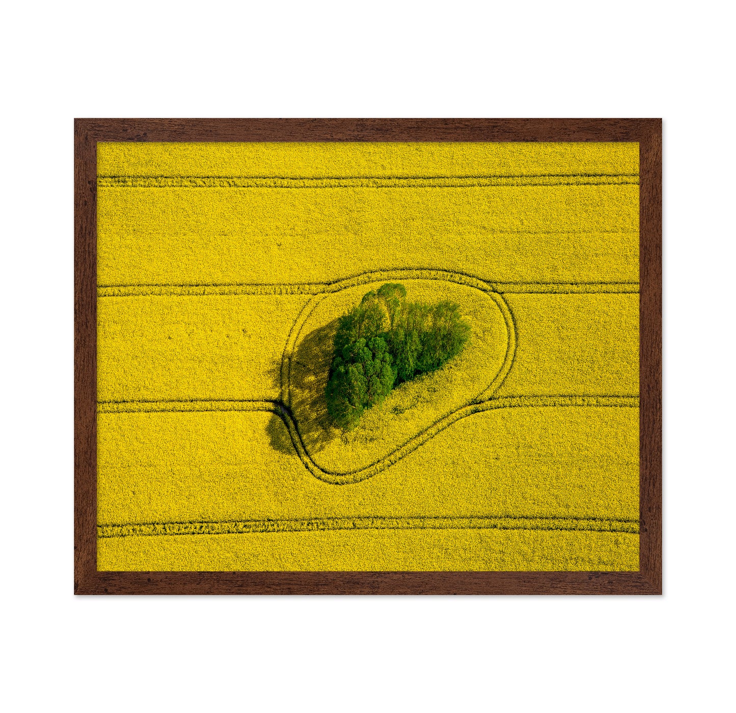 Island In The Field