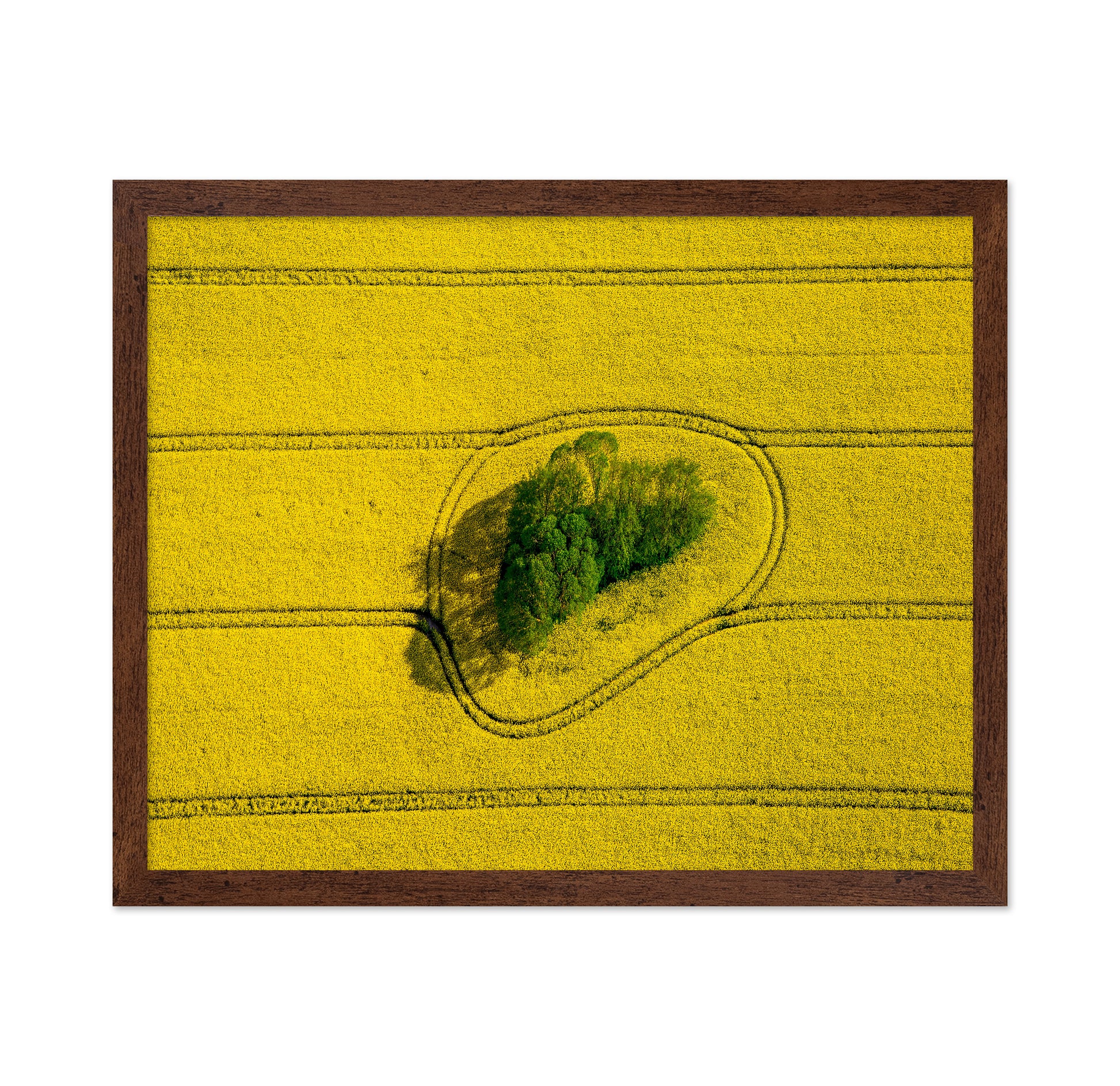 Island In The Field