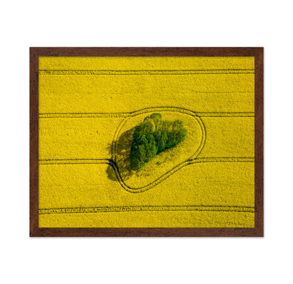 Island In The Field