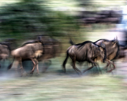 Great Migration