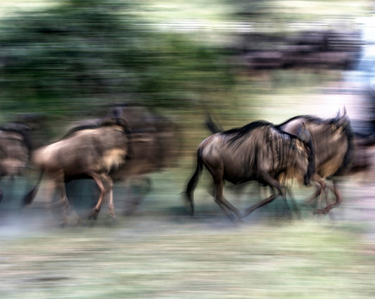 Great Migration