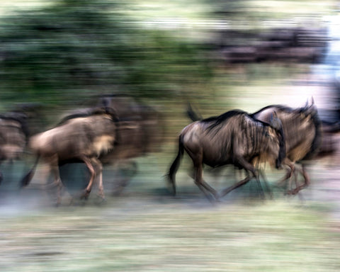 Great Migration