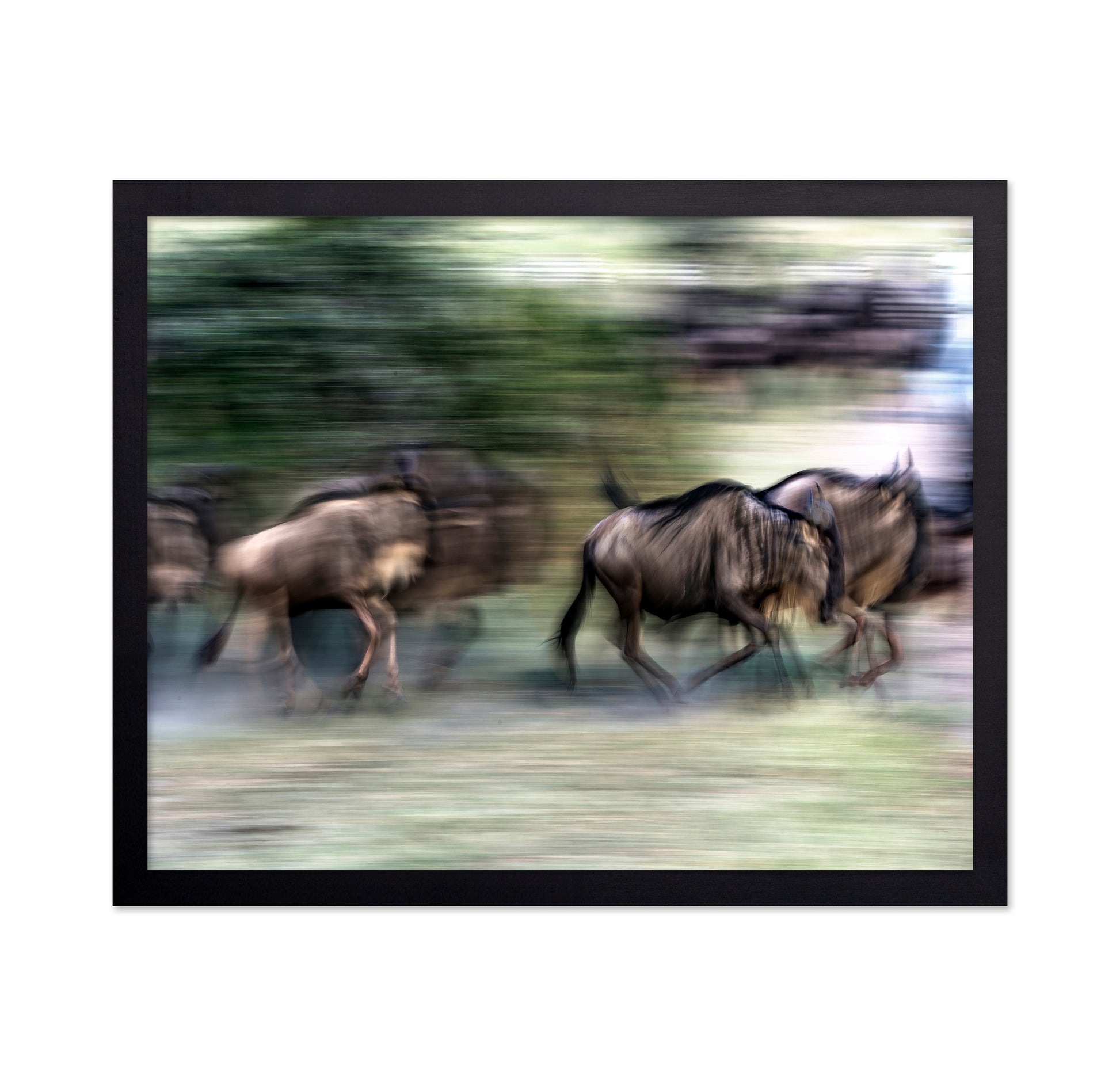 Great Migration