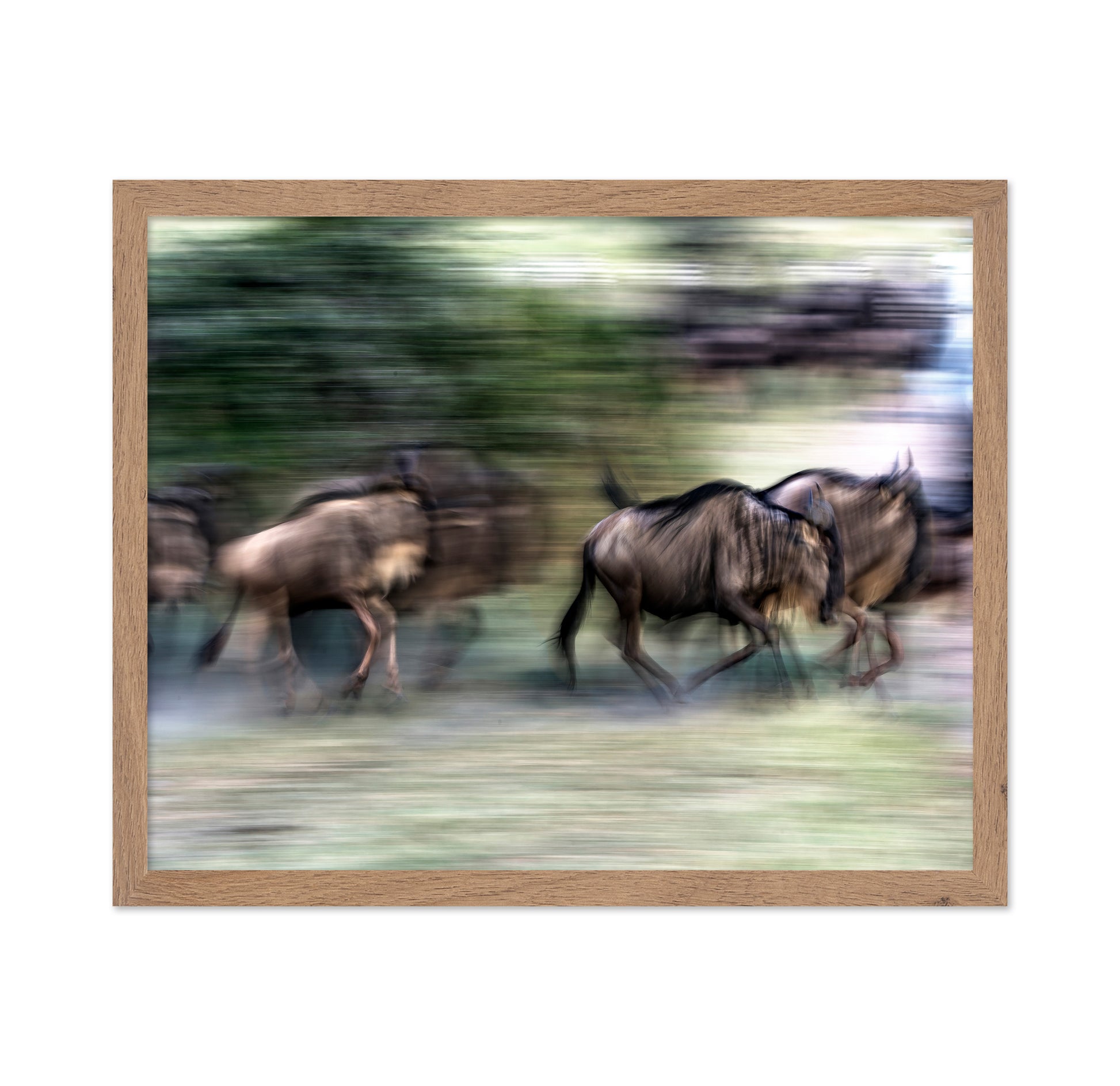 Great Migration