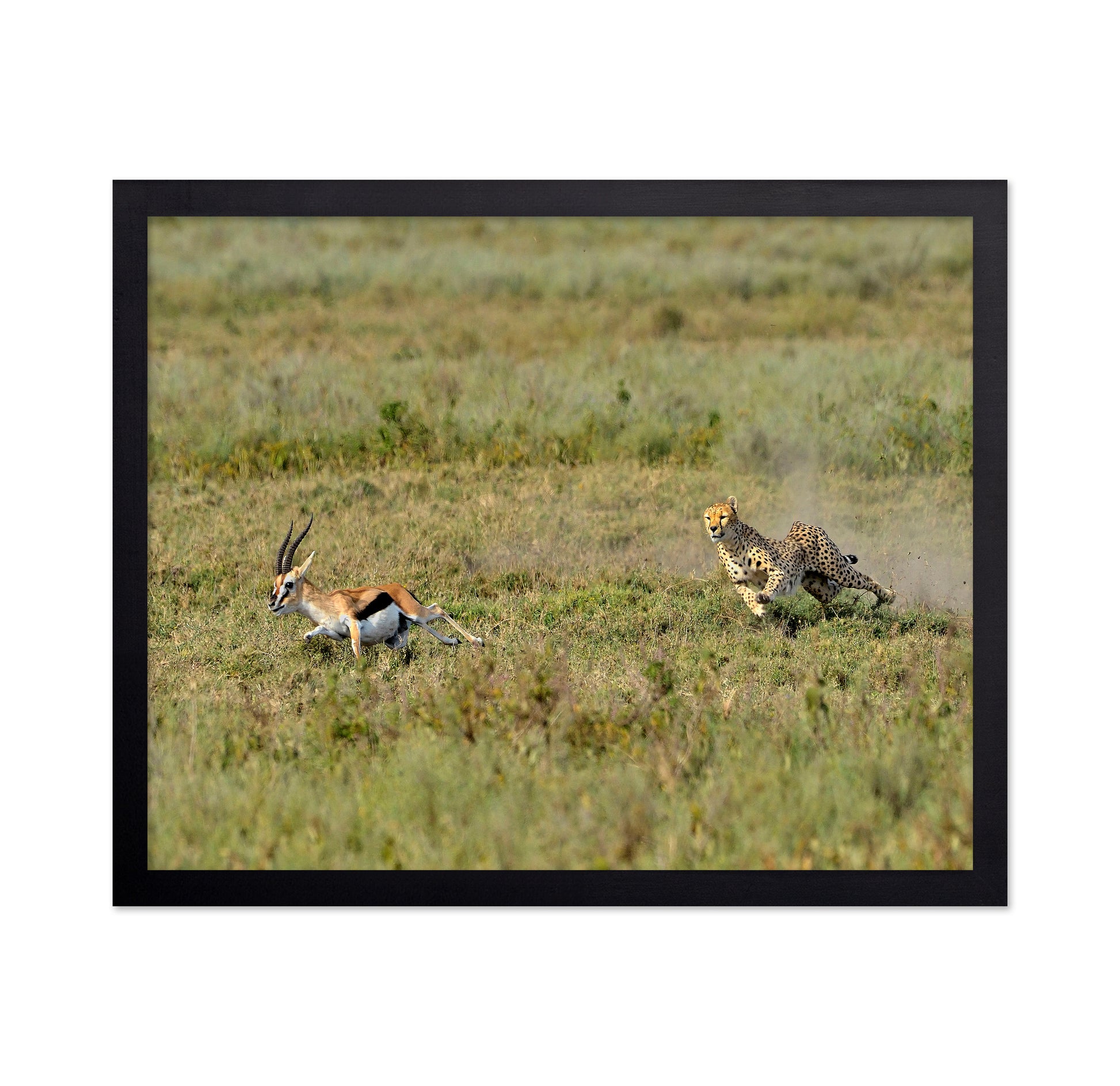 Hunting