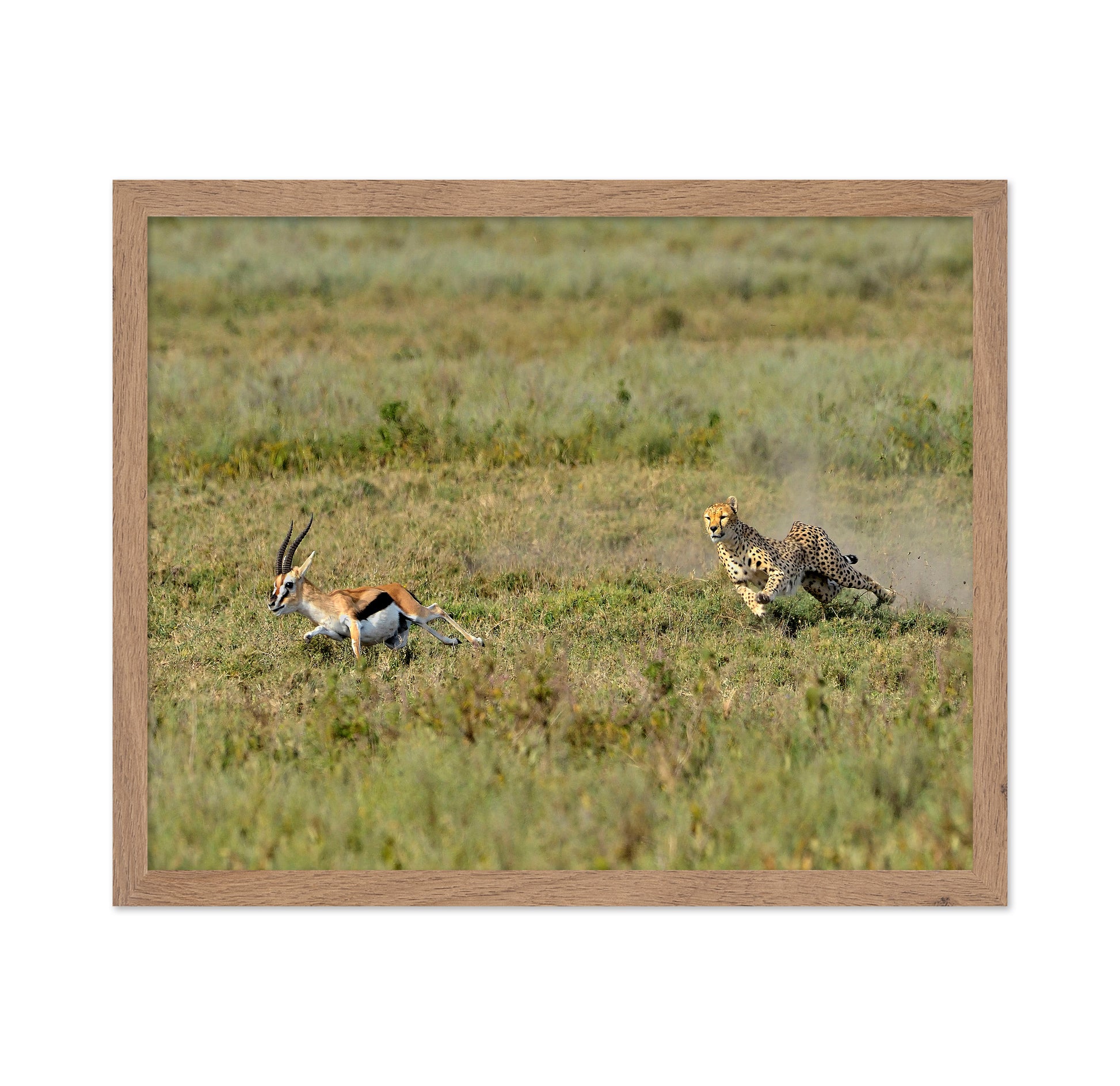 Hunting