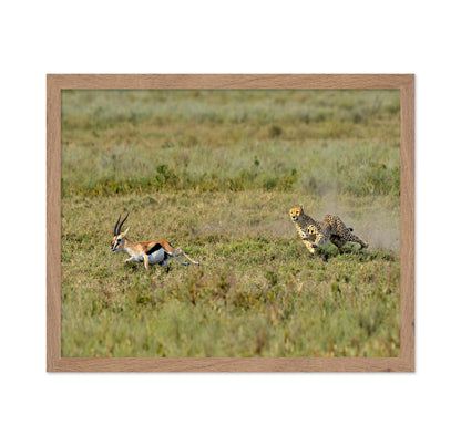 Hunting