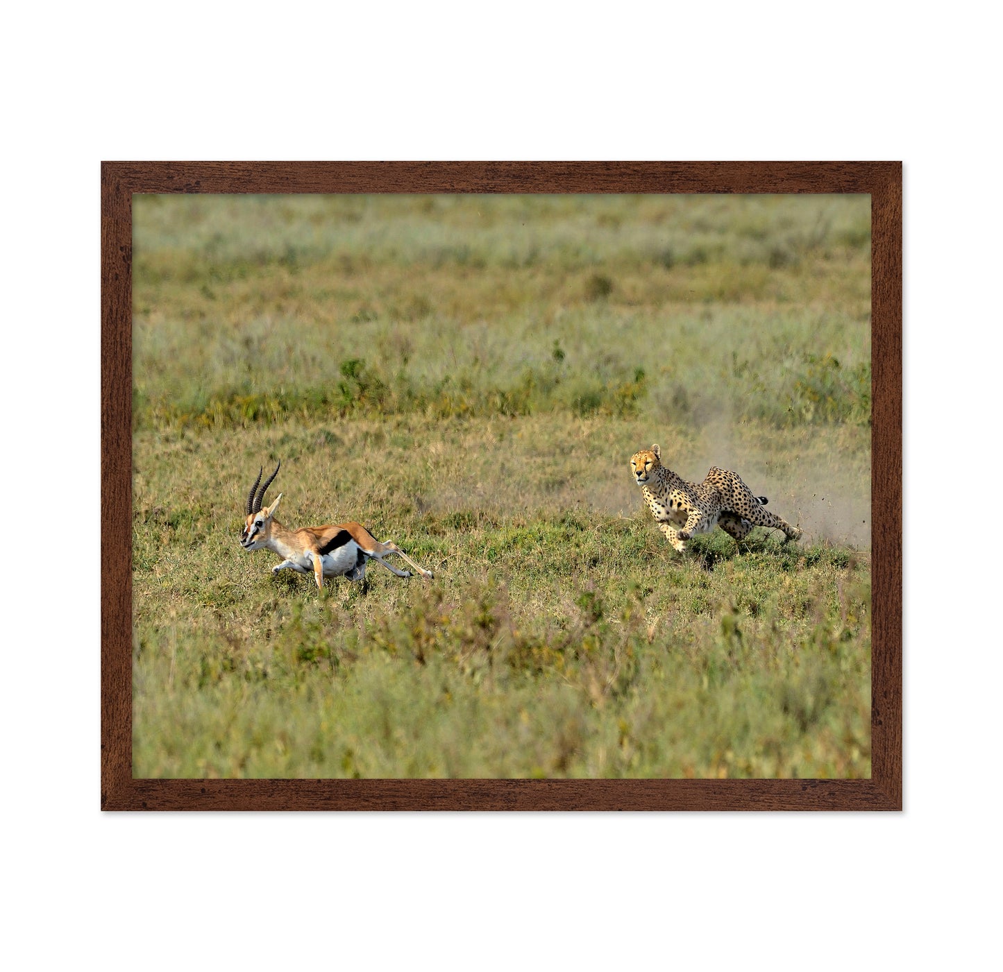 Hunting
