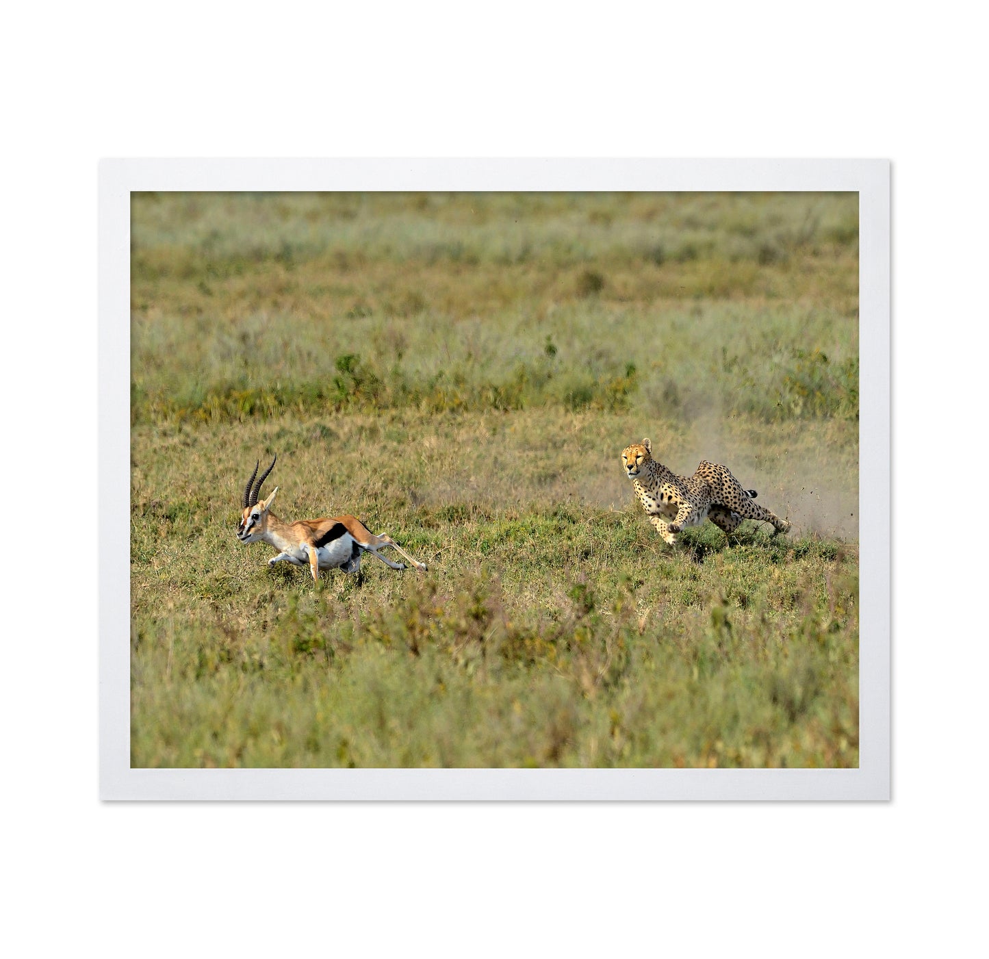 Hunting