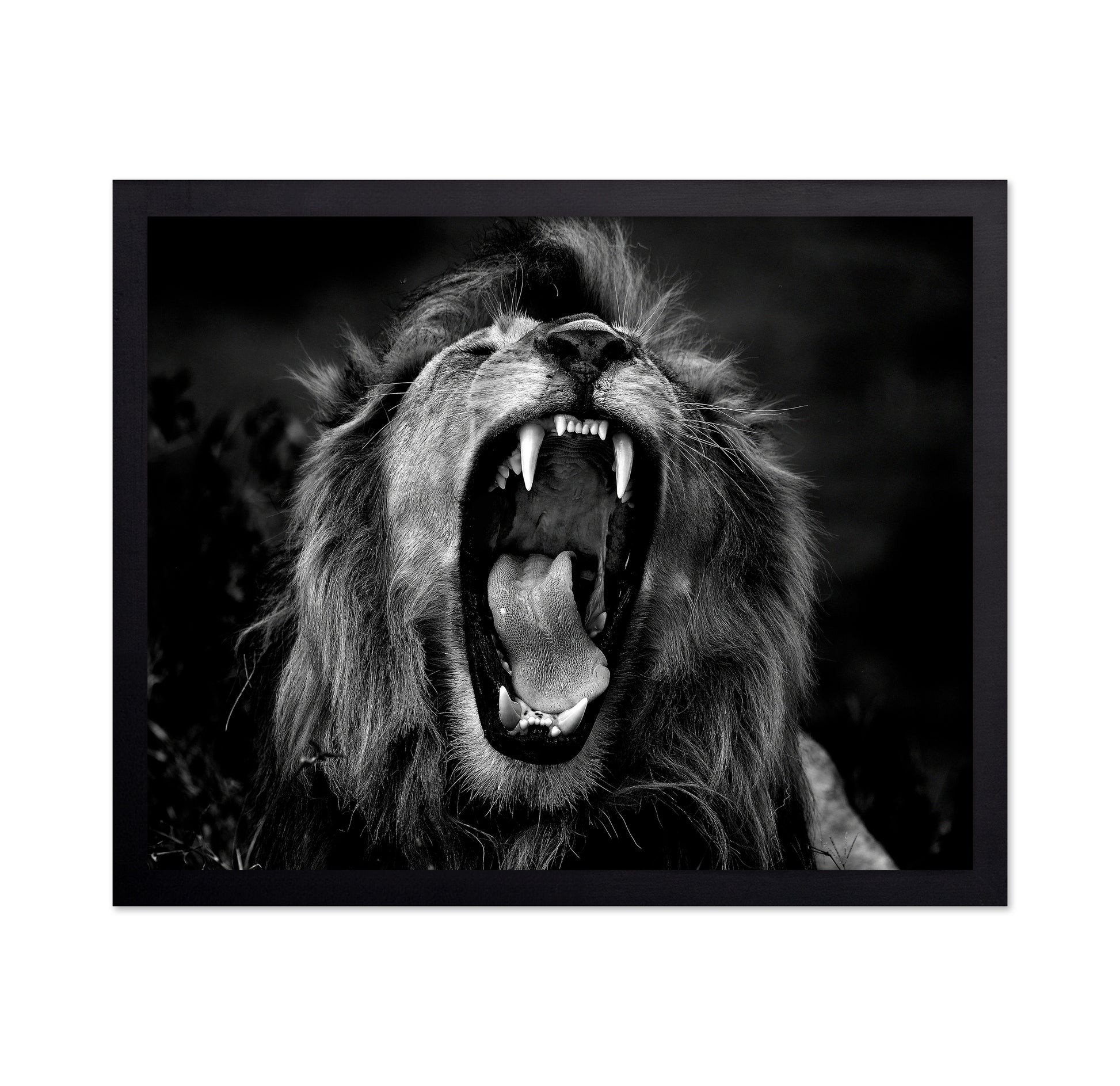 Roar
