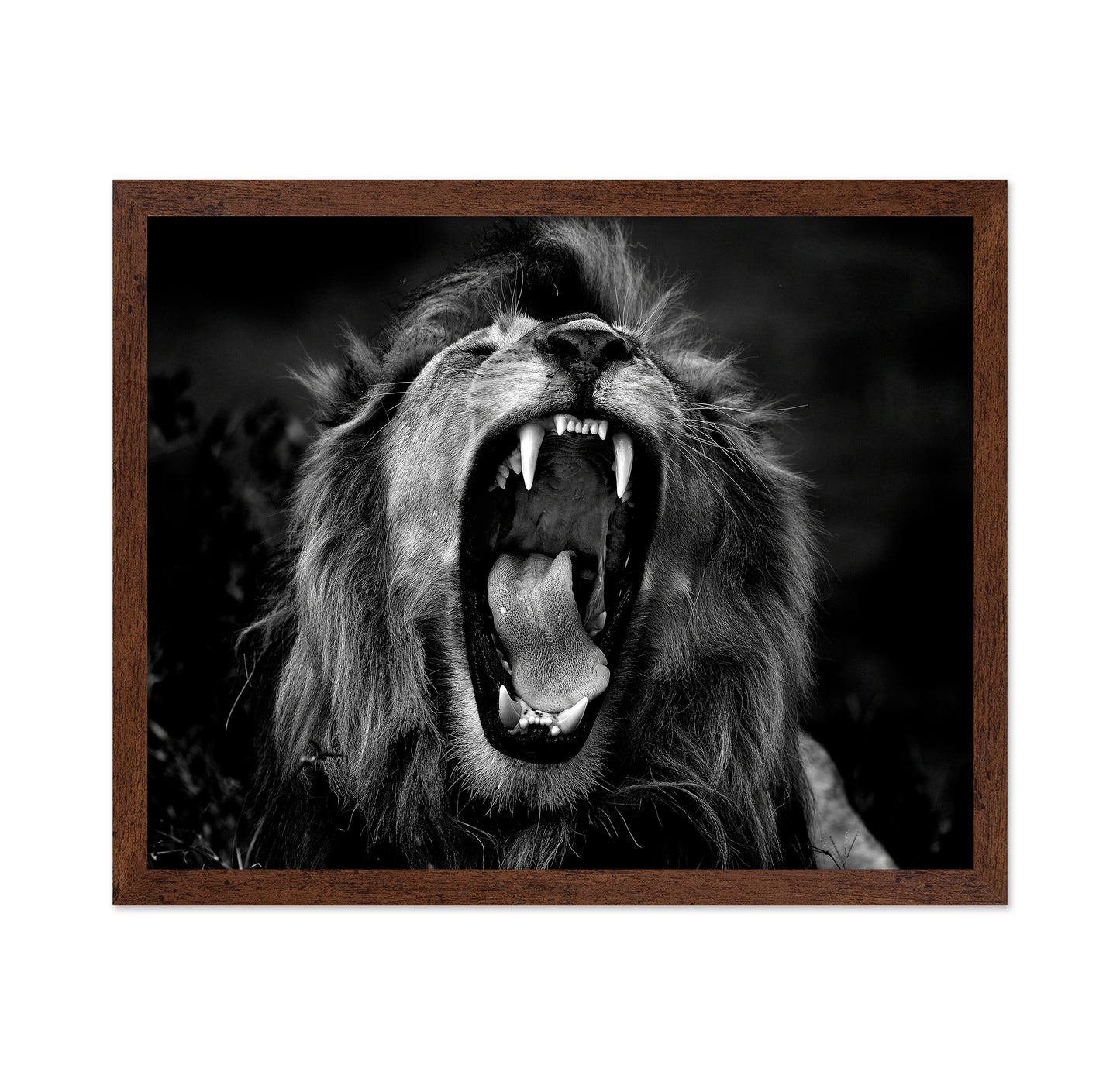 Roar