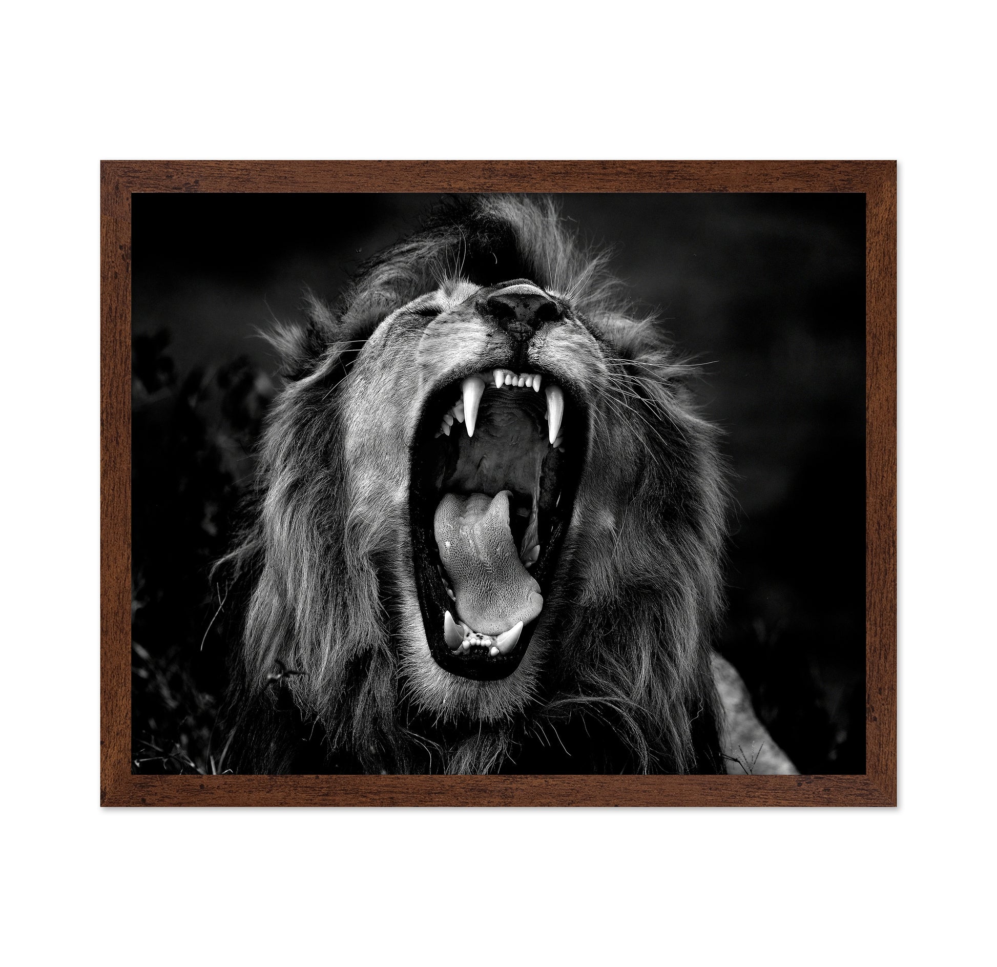 Roar