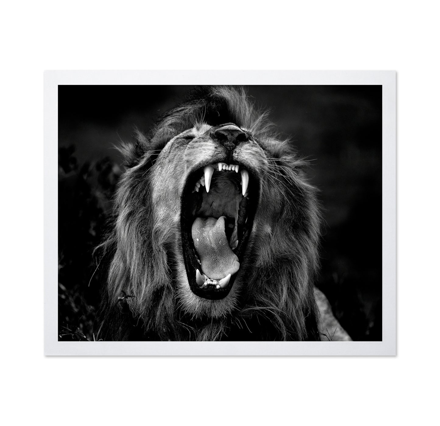 Roar