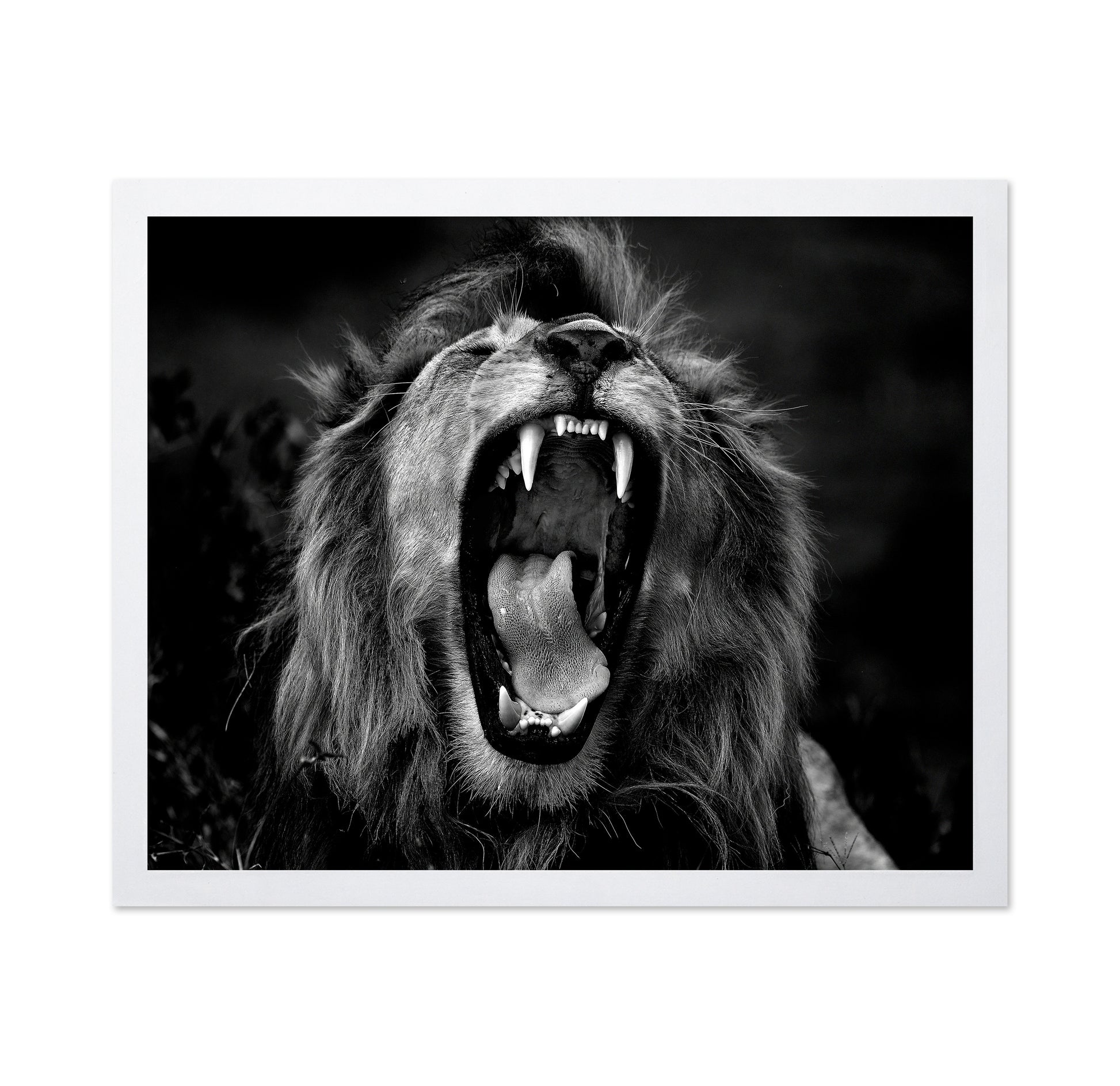 Roar