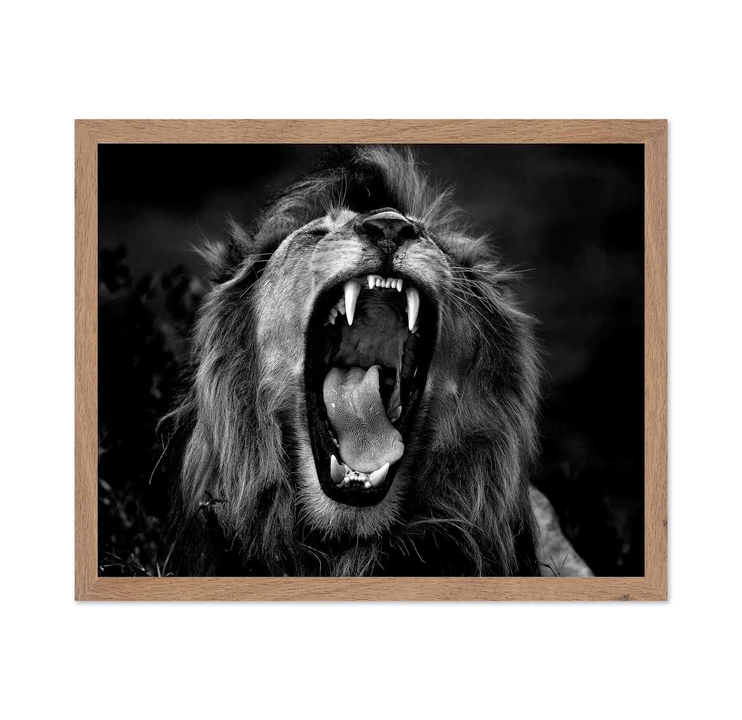 Roar