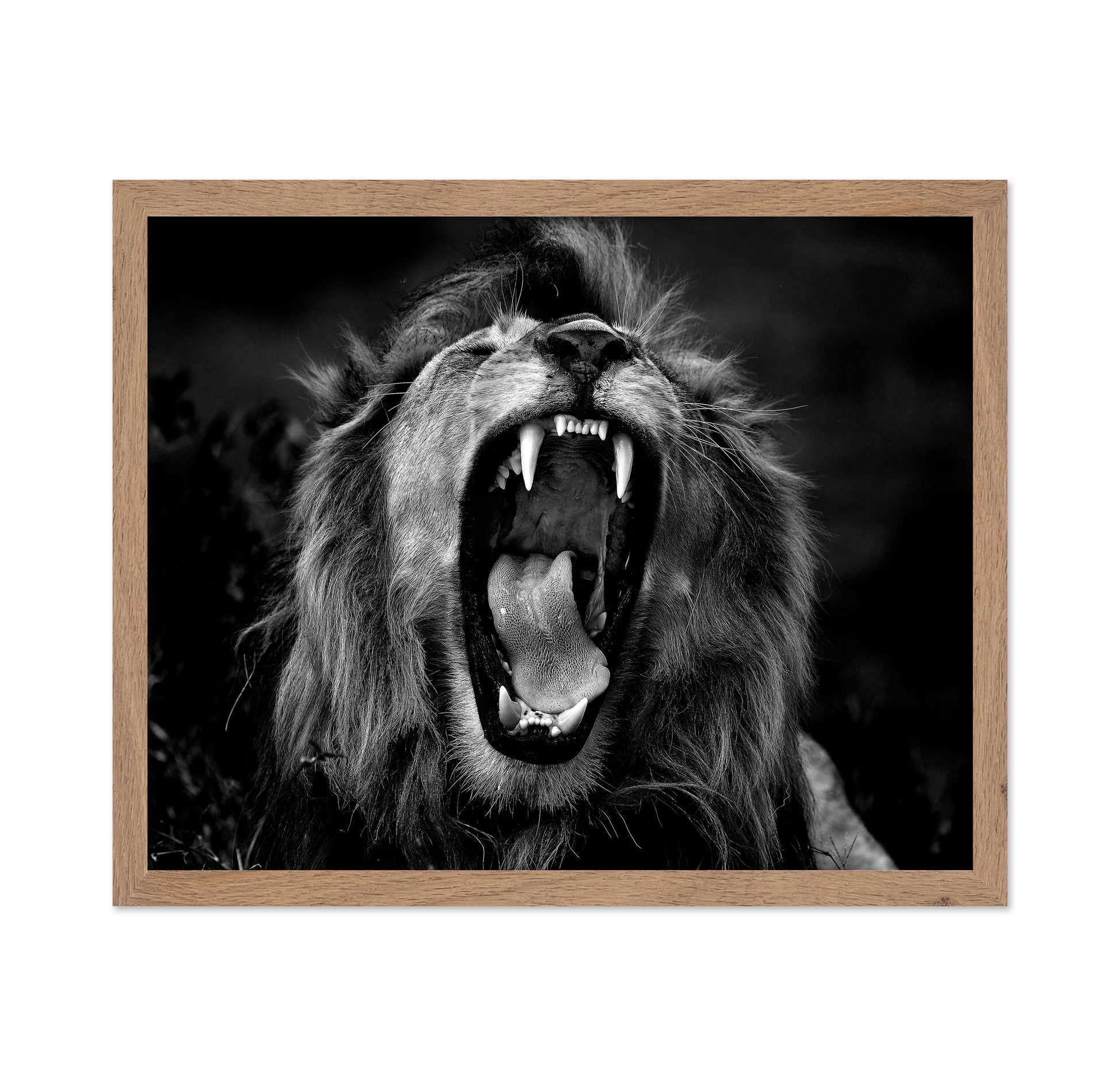 Roar