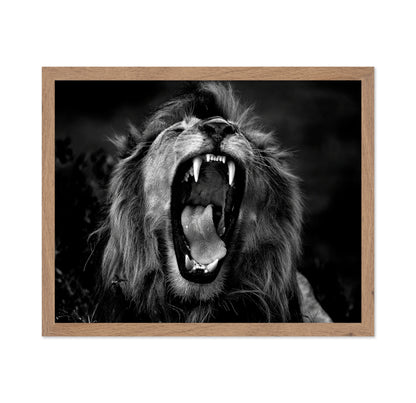 Roar
