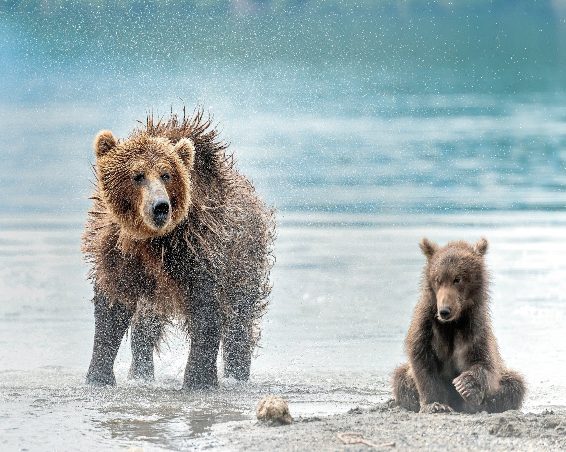 Shaking - Kamchatka Russia