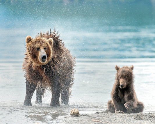 Shaking - Kamchatka Russia
