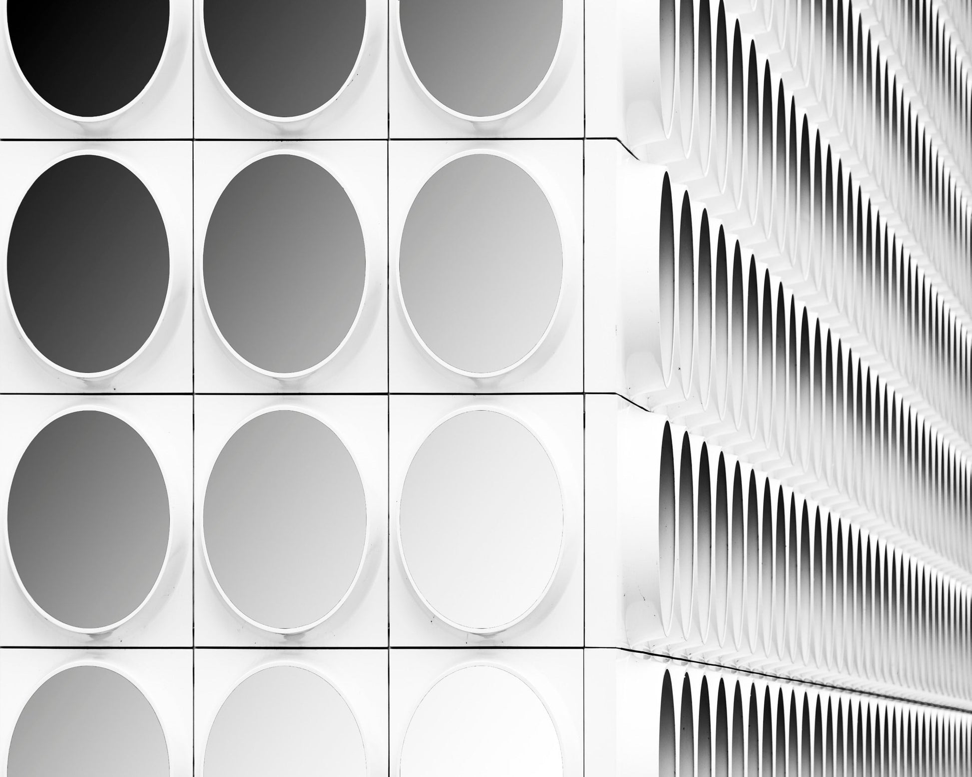 Circles And Squares