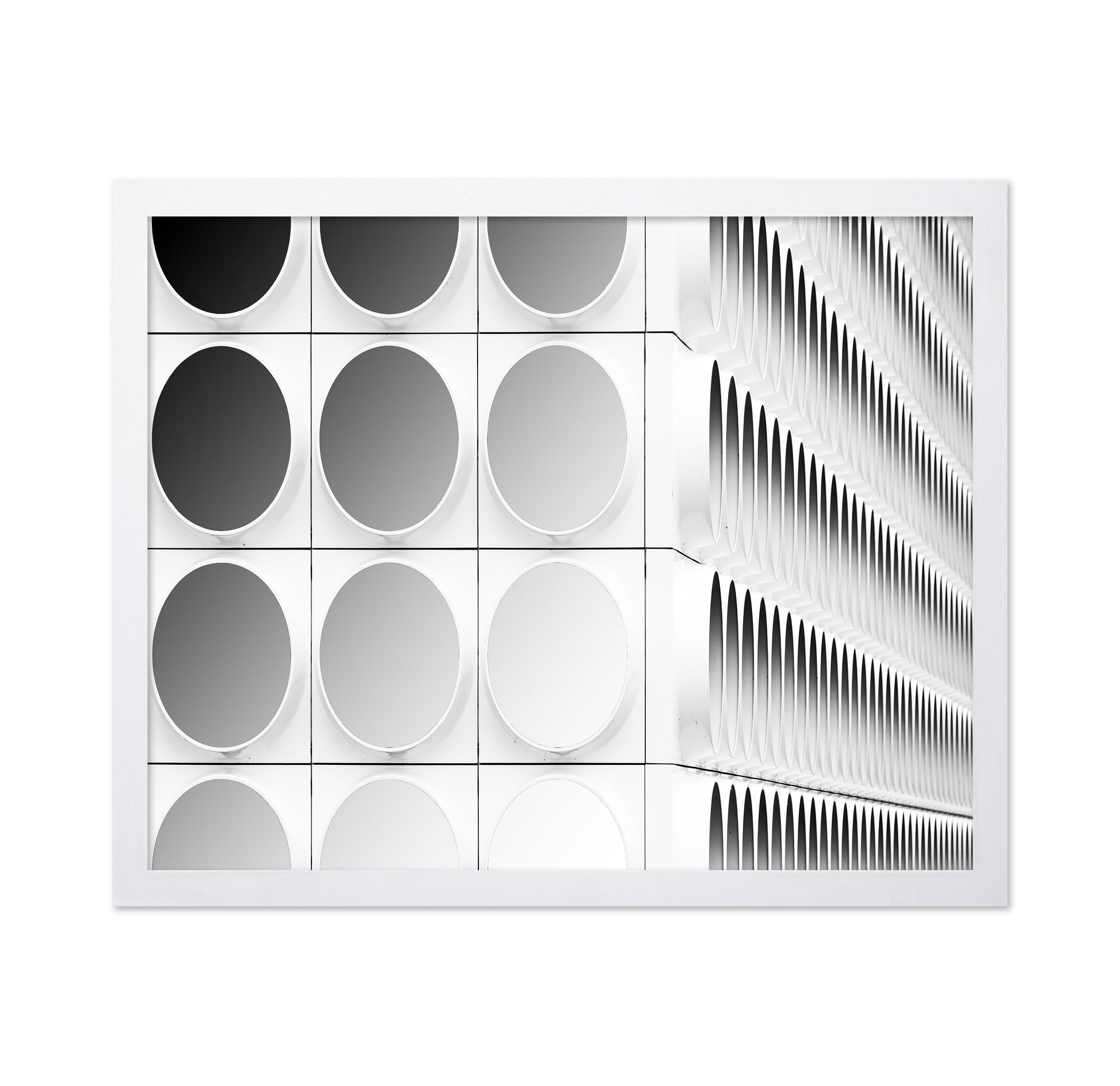 Circles And Squares