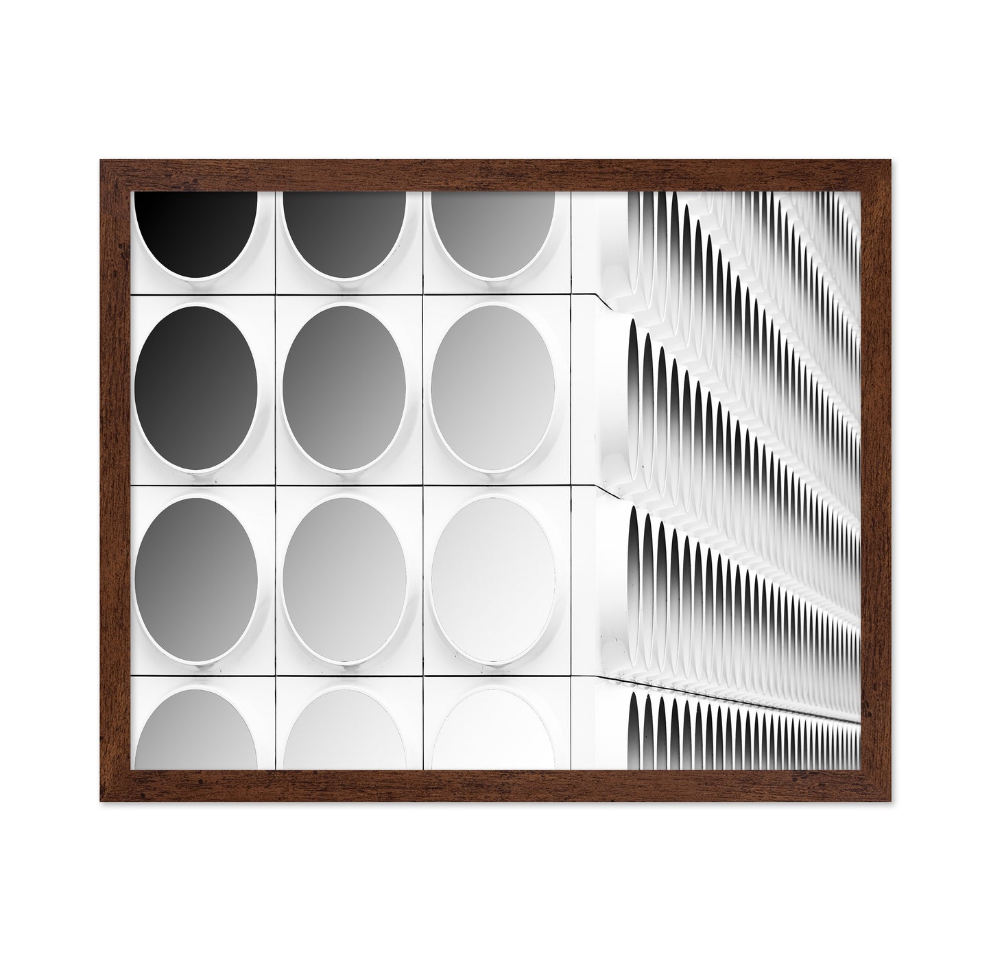 Circles And Squares