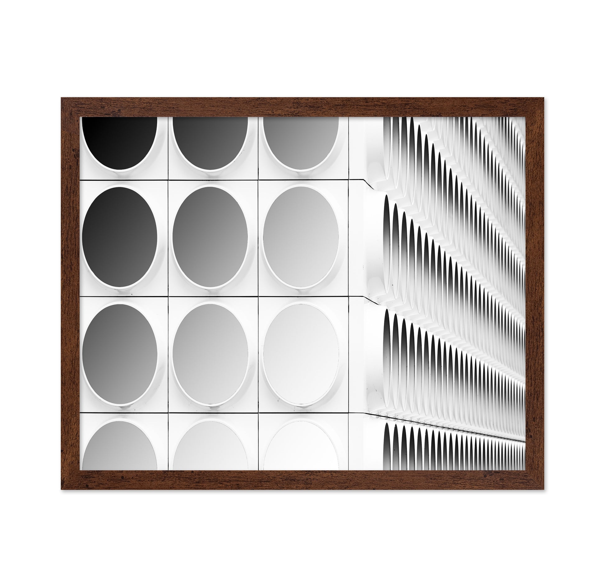 Circles And Squares
