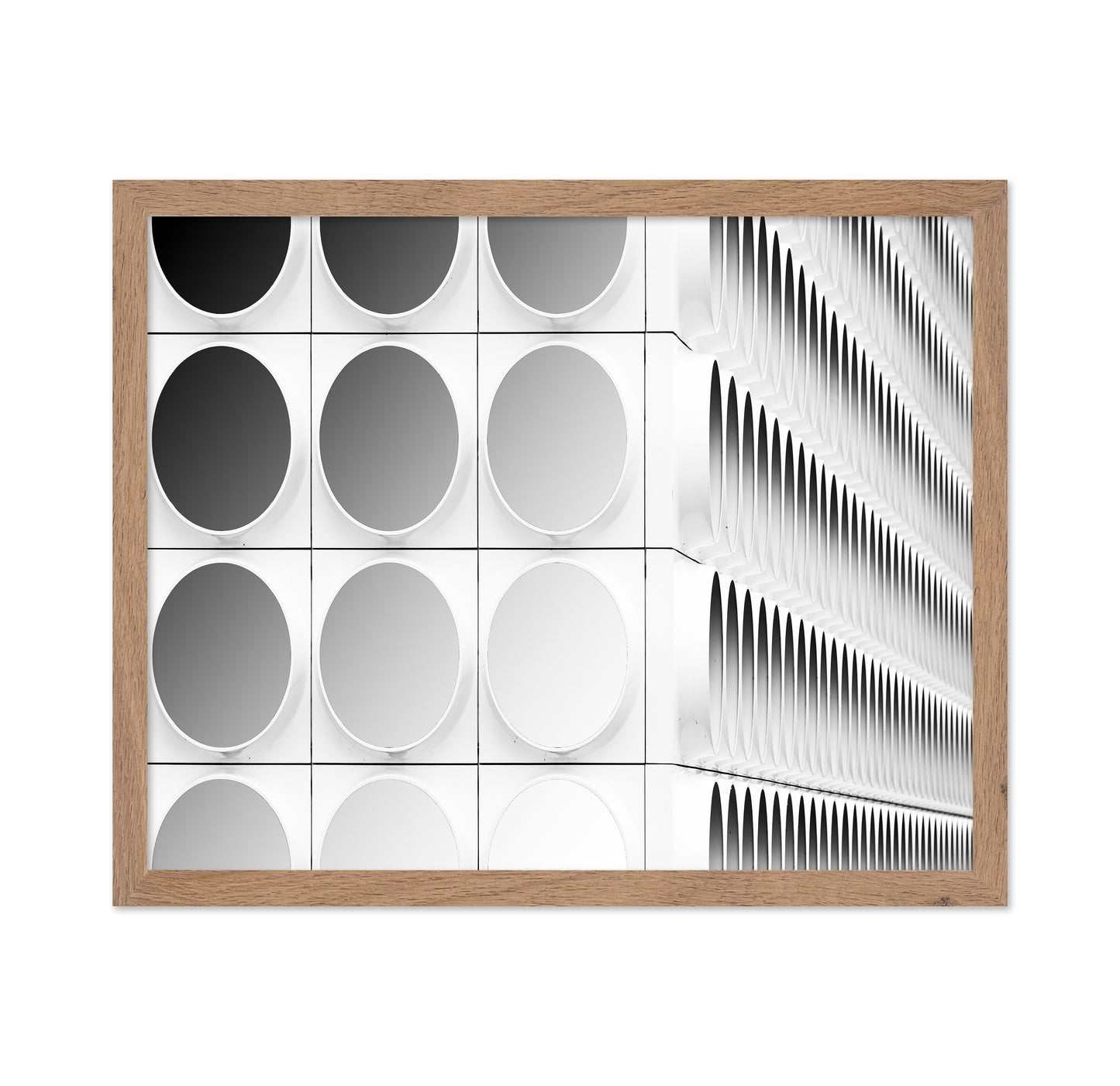 Circles And Squares