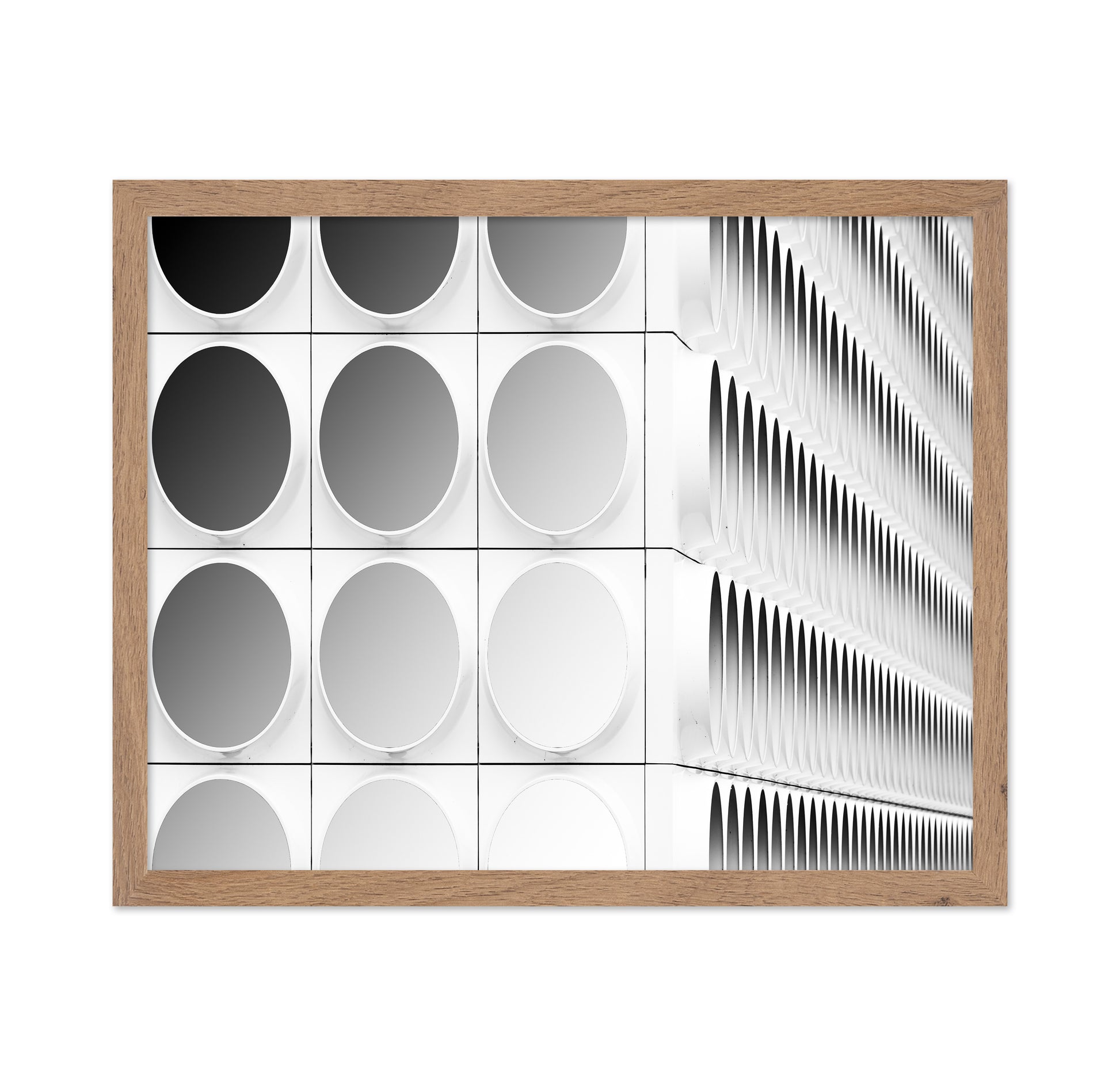 Circles And Squares