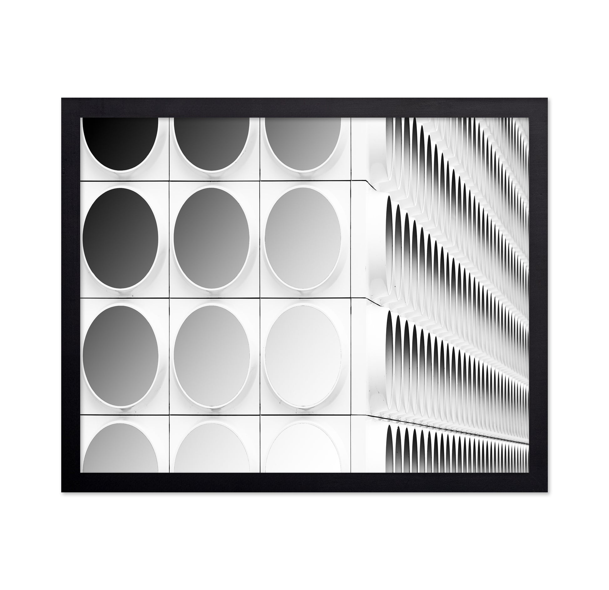 Circles And Squares