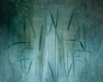 Grain In Soft Blue