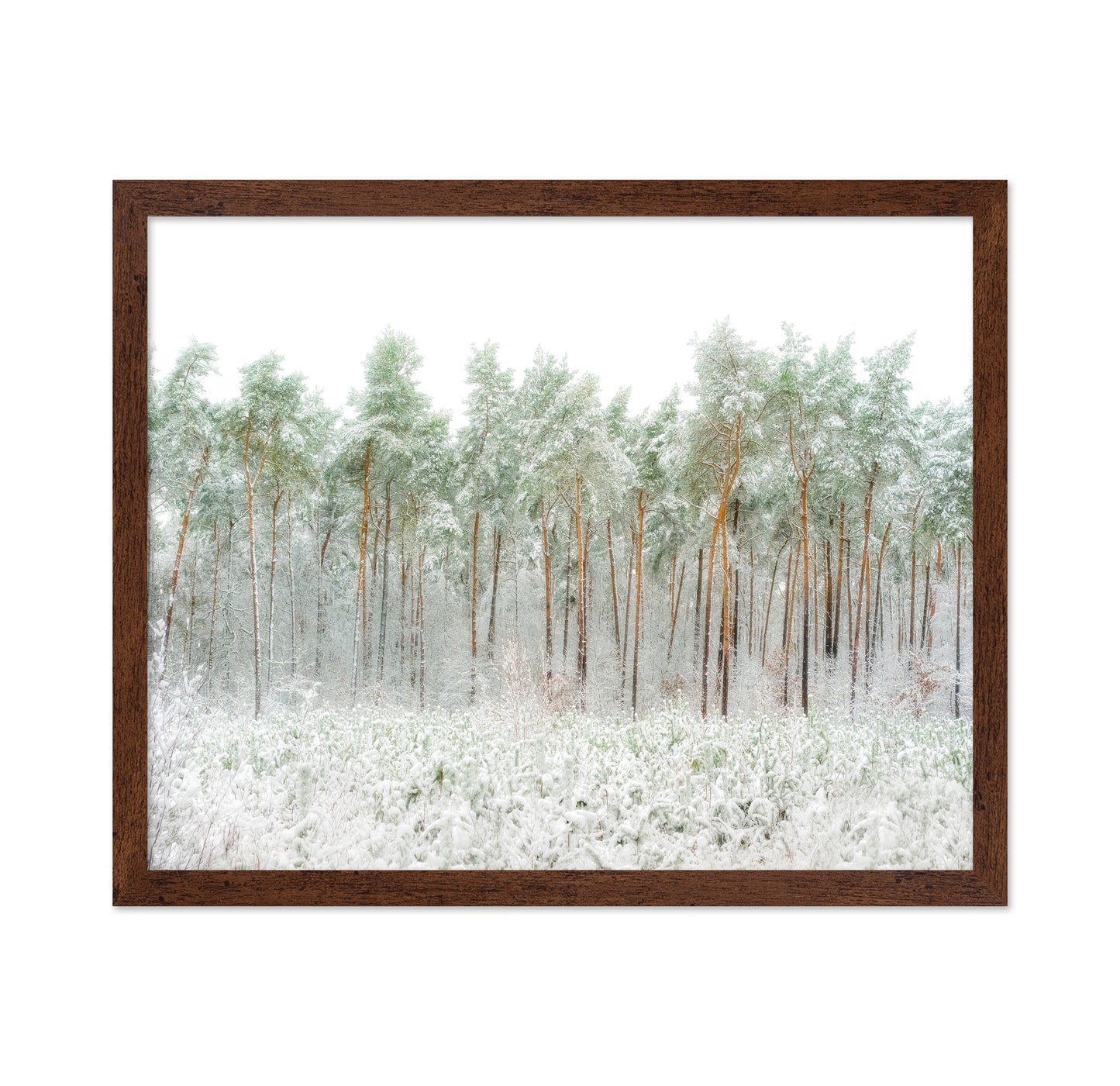 Snow World