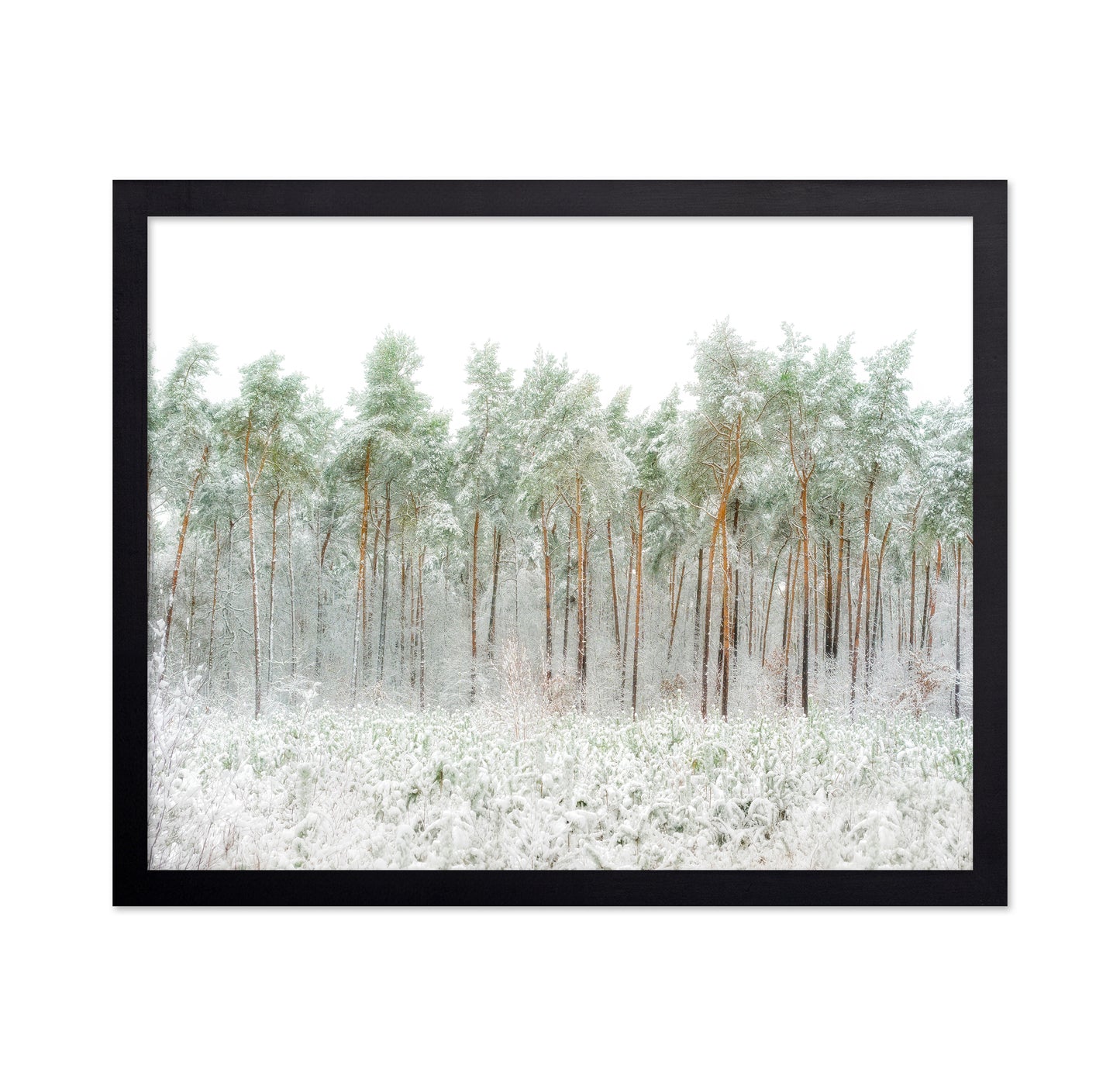 Snow World