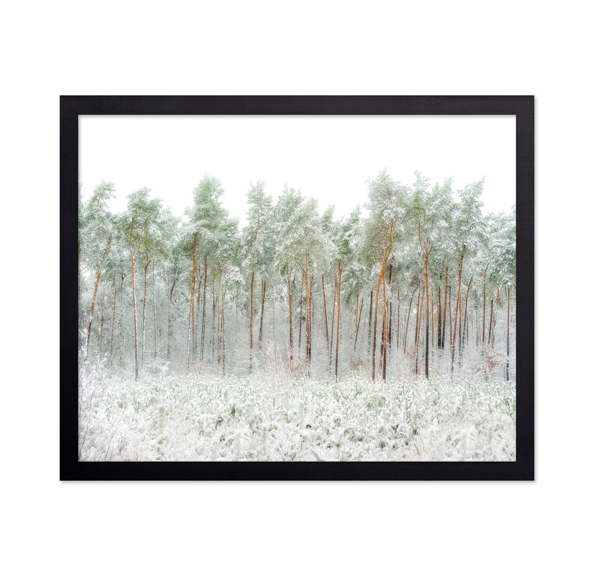 Snow World