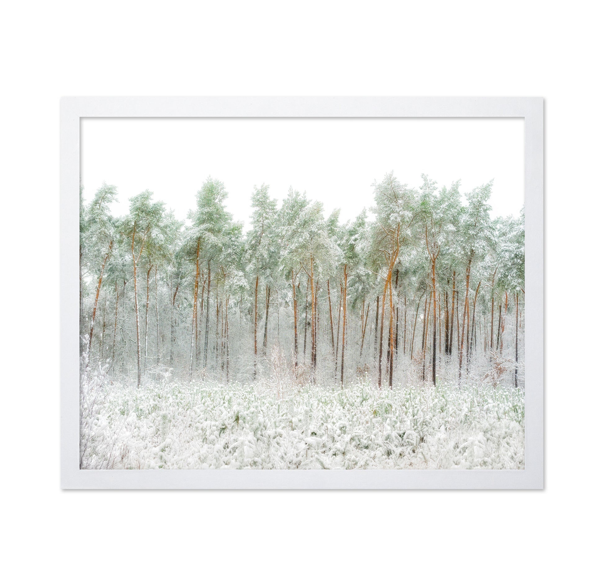Snow World