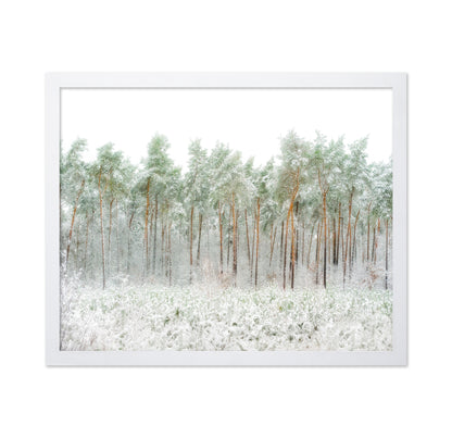 Snow World