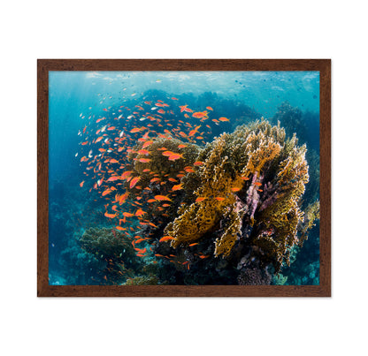 Reefscape
