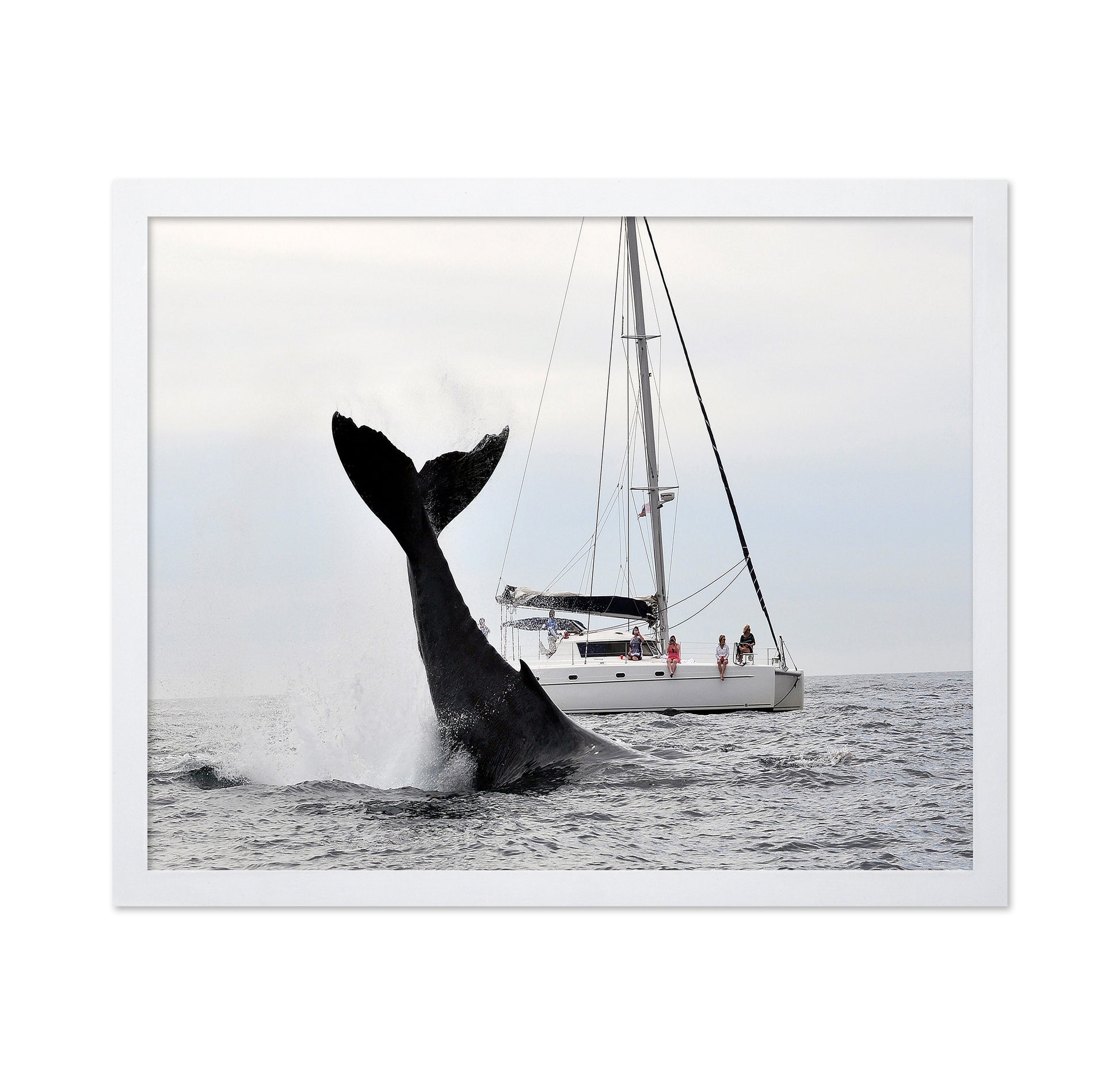Tale Of A Whale