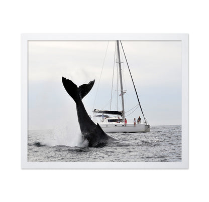 Tale Of A Whale