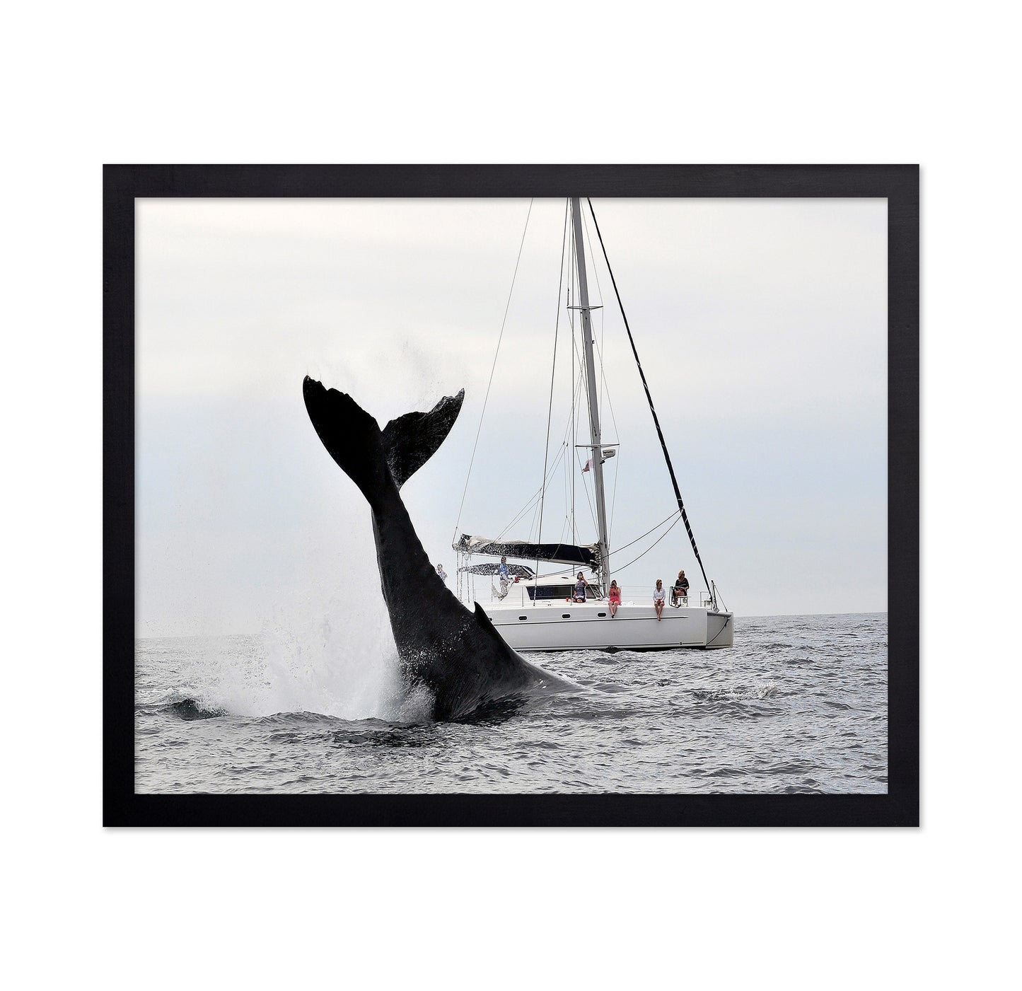 Tale Of A Whale