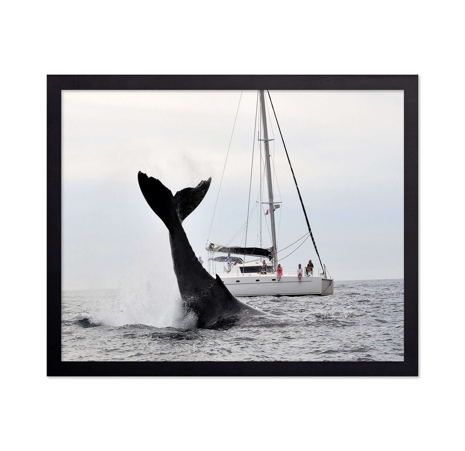 Tale Of A Whale